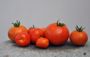 tomatitos
